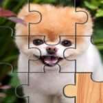 Cute Dogs Jigsaw Puzzle